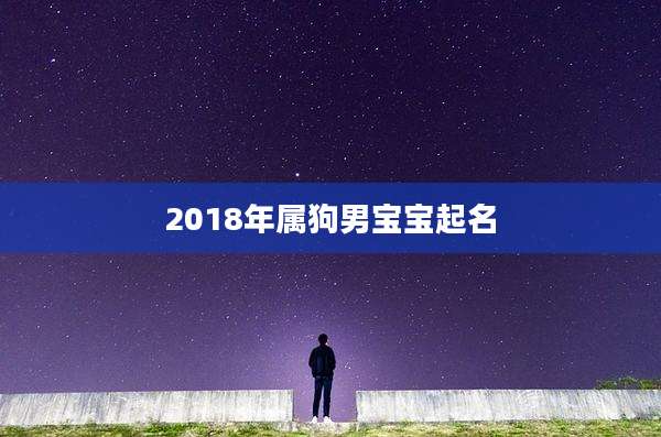 2018年属狗男宝宝起名