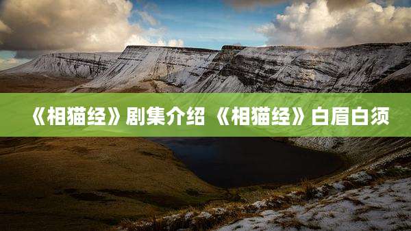 《相猫经》剧集介绍 《相猫经》白眉白须