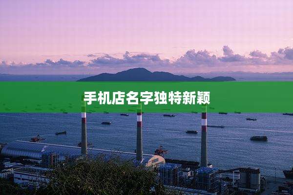 手机店名字独特新颖