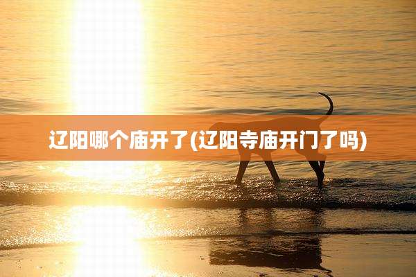 辽阳哪个庙开了(辽阳寺庙开门了吗)
