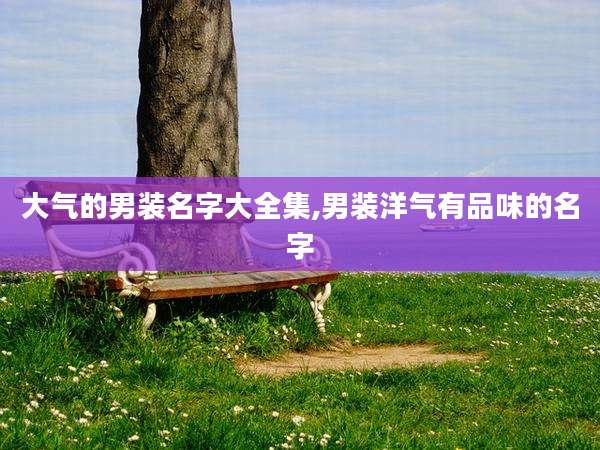 大气的男装名字大全集,男装洋气有品味的名字