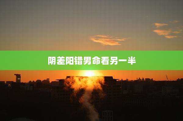 阴差阳错男命看另一半
