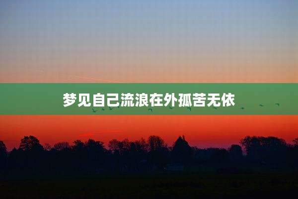 梦见自己流浪在外孤苦无依