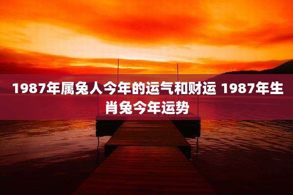 1987年属兔人今年的运气和财运 1987年生肖兔今年运势