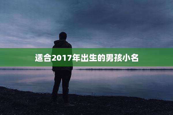 适合2017年出生的男孩小名