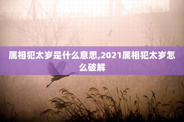 属相犯太岁是什么意思,2021属相犯太岁怎么破解