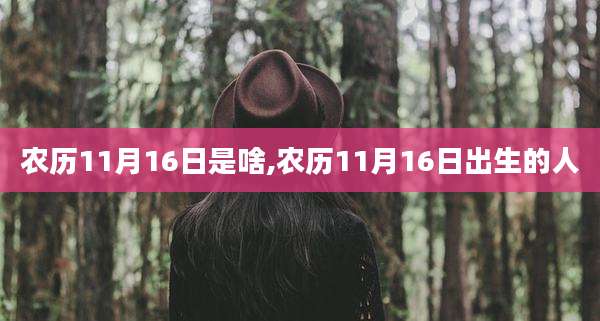 农历11月16日是啥,农历11月16日出生的人