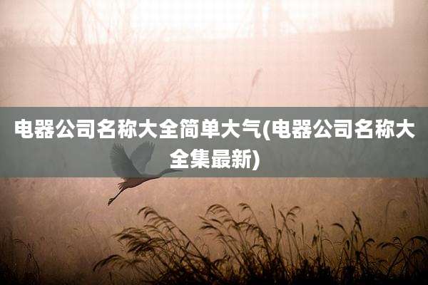 电器公司名称大全简单大气(电器公司名称大全集最新)