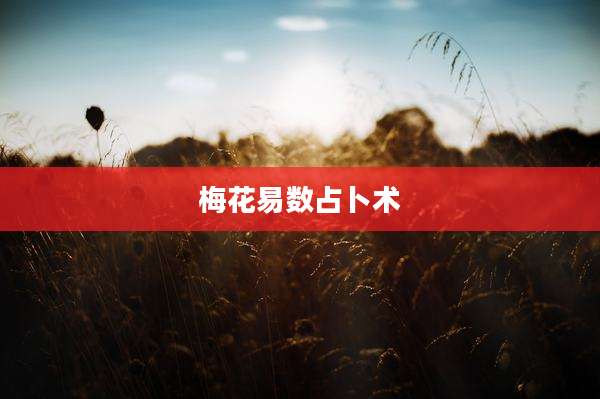 梅花易数占卜术