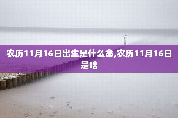 农历11月16日出生是什么命,农历11月16日是啥