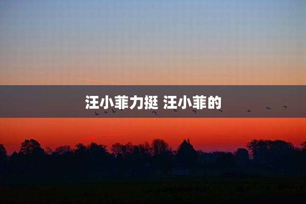 汪小菲力挺 汪小菲的