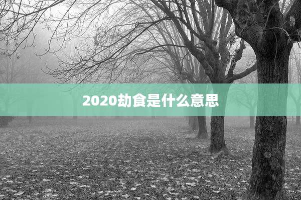 2020劫食是什么意思