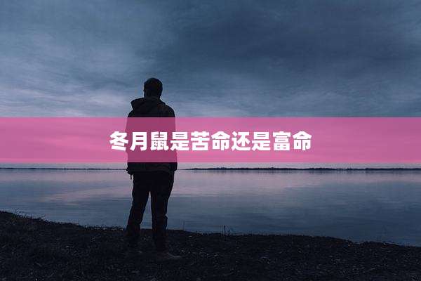 冬月鼠是苦命还是富命