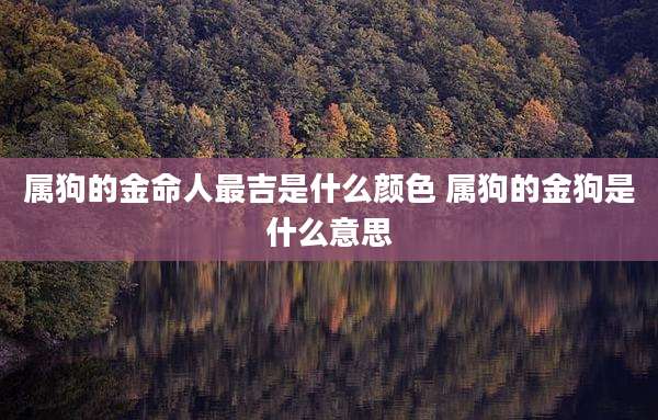 属狗的金命人最吉是什么颜色 属狗的金狗是什么意思