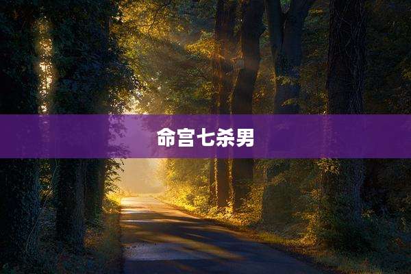 命宫七杀男