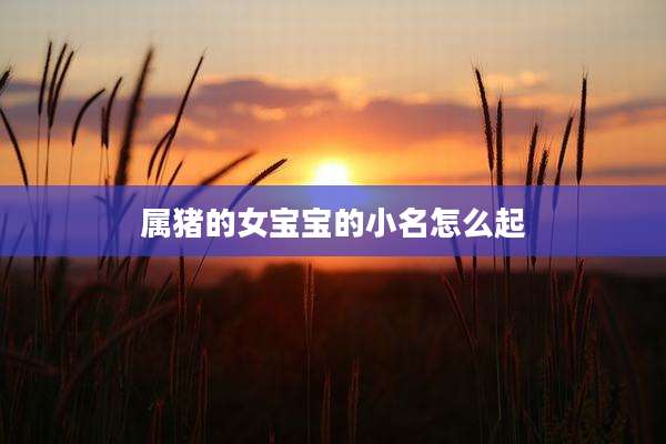 属猪的女宝宝的小名怎么起