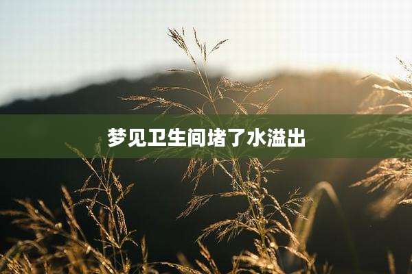 梦见卫生间堵了水溢出