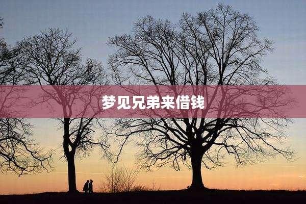 梦见兄弟来借钱