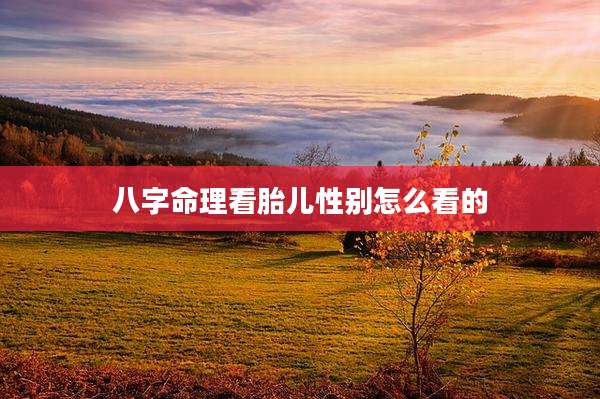 八字命理看胎儿性别怎么看的