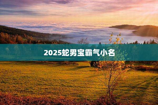 2025蛇男宝霸气小名