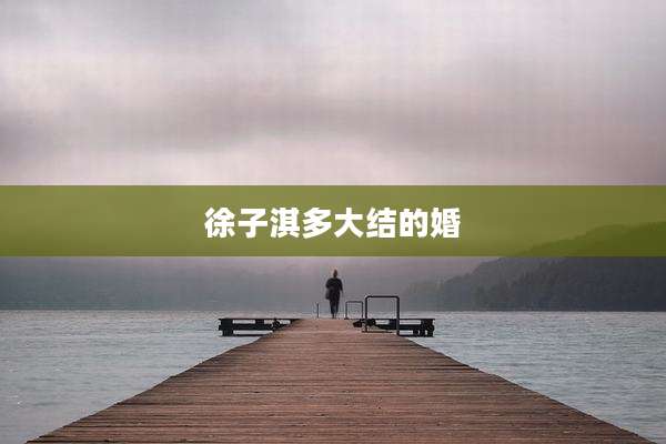 徐子淇多大结的婚