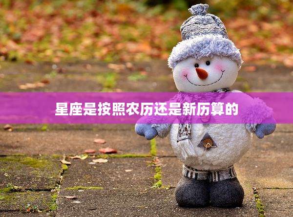 星座是按照农历还是新历算的