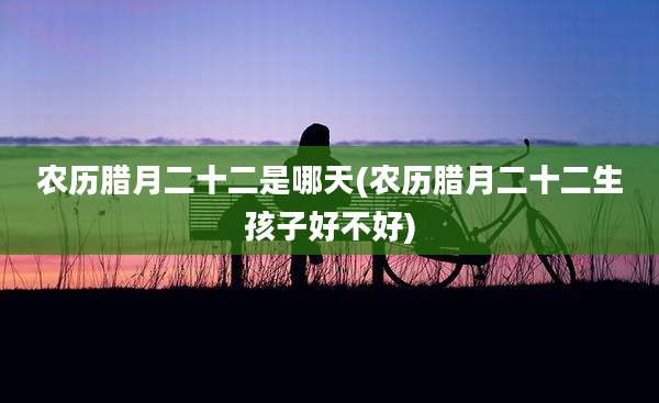 农历腊月二十二是哪天(农历腊月二十二生孩子好不好)