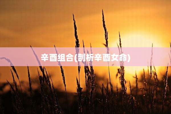 辛酉组合(剖析辛酉女命)