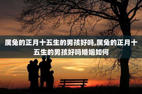 属兔的正月十五生的男孩好吗,属兔的正月十五生的男孩好吗婚姻如何
