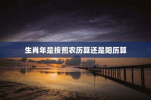 生肖年是按照农历算还是阳历算