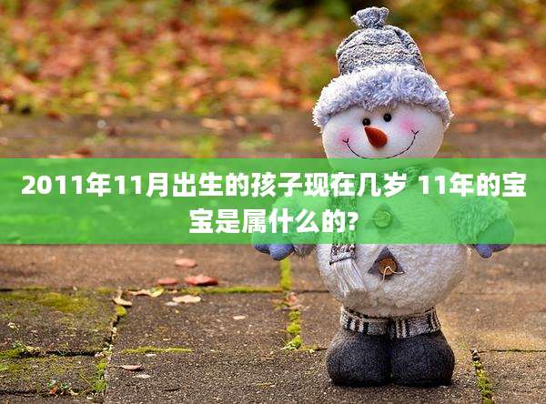 2011年11月出生的孩子现在几岁 11年的宝宝是属什么的?