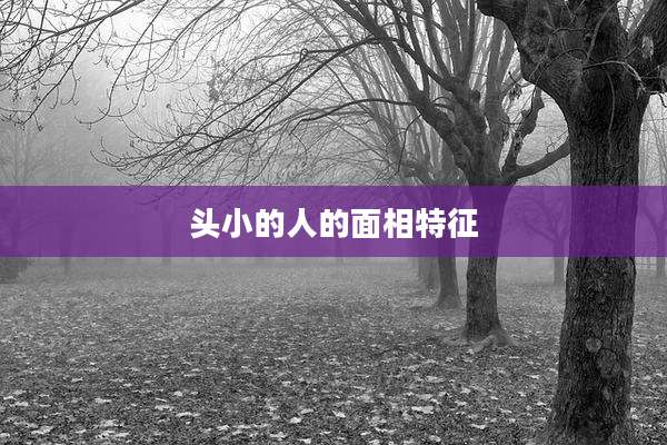 头小的人的面相特征
