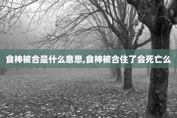 食神被合是什么意思,食神被合住了会死亡么