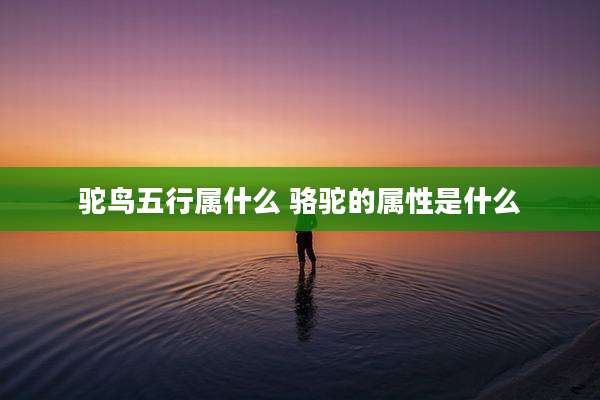 驼鸟五行属什么 骆驼的属性是什么