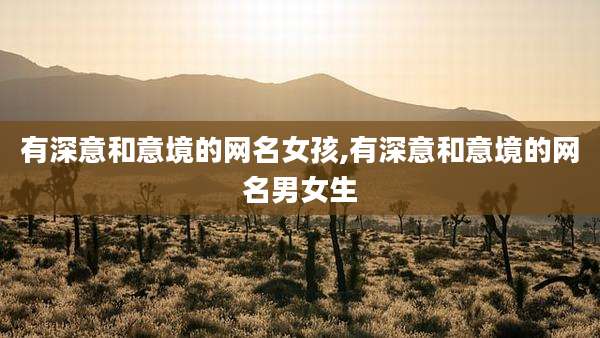 有深意和意境的网名女孩,有深意和意境的网名男女生