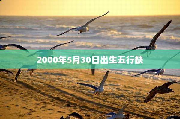 2000年5月30日出生五行缺