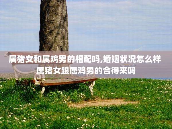 属猪女和属鸡男的相配吗,婚姻状况怎么样 属猪女跟属鸡男的合得来吗