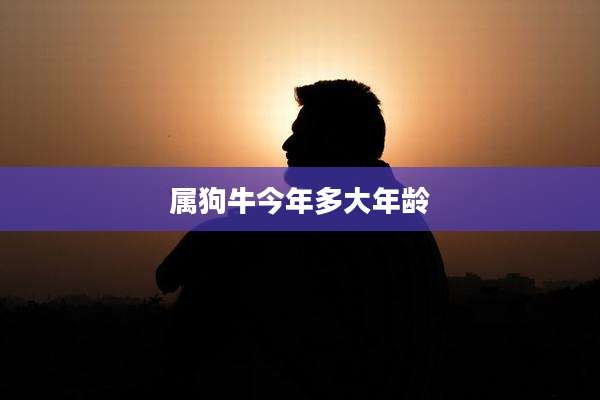 属狗牛今年多大年龄