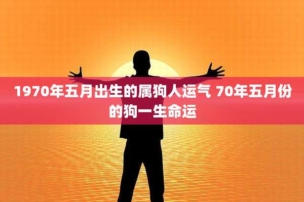 1970年五月出生的属狗人运气 70年五月份的狗一生命运