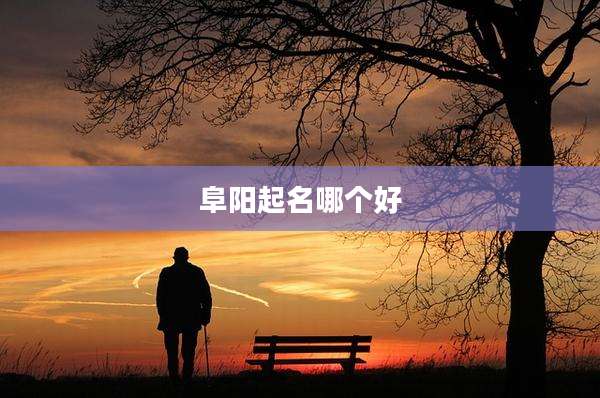 阜阳起名哪个好