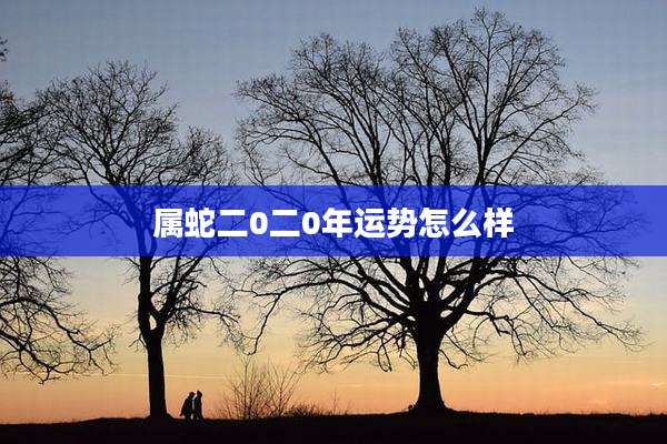属蛇二0二0年运势怎么样