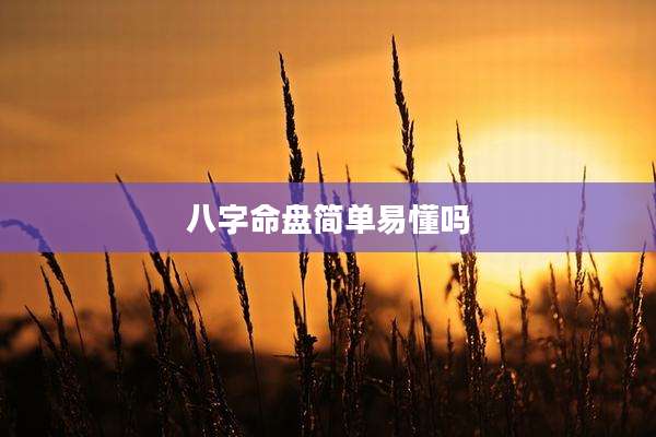 八字命盘简单易懂吗
