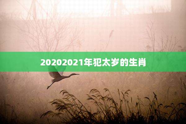 20202021年犯太岁的生肖
