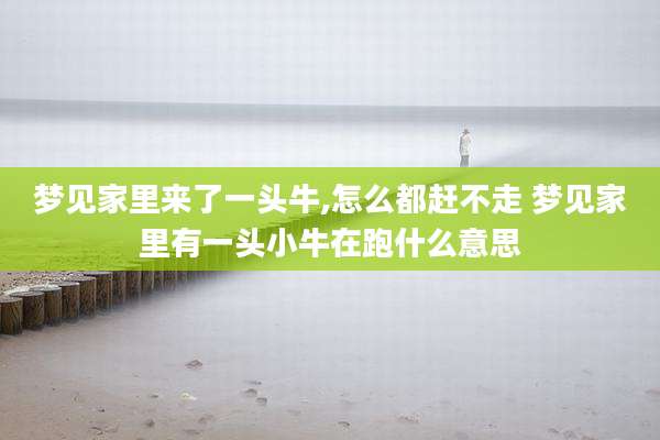 梦见家里来了一头牛,怎么都赶不走 梦见家里有一头小牛在跑什么意思
