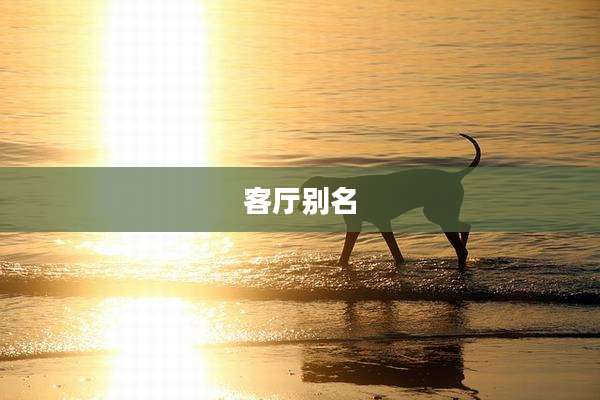 客厅别名