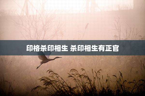印格杀印相生 杀印相生有正官