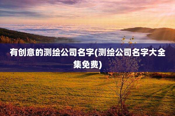 有创意的测绘公司名字(测绘公司名字大全集免费)