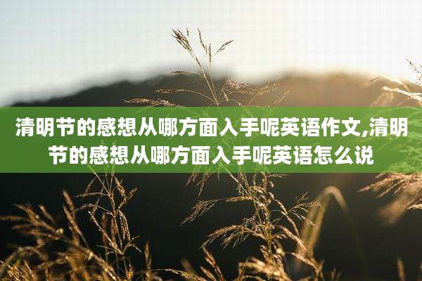 清明节的感想从哪方面入手呢英语作文,清明节的感想从哪方面入手呢英语怎么说