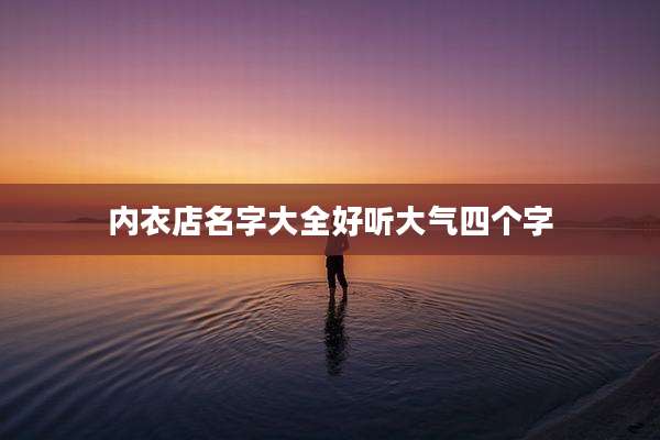 内衣店名字大全好听大气四个字