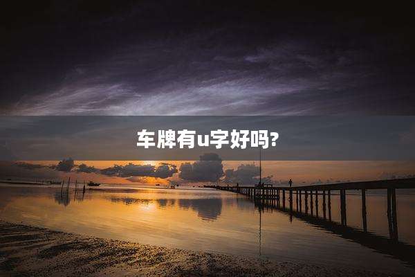 车牌有u字好吗?